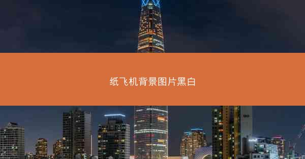 纸飞机背景图片黑白