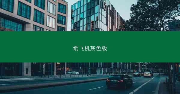 纸飞机灰色版