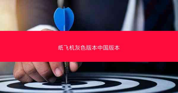 纸飞机灰色版本中国版本