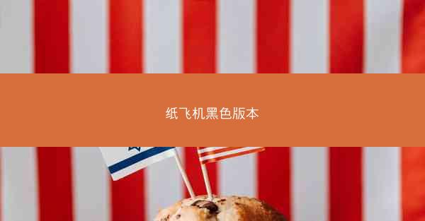 纸飞机黑色版本