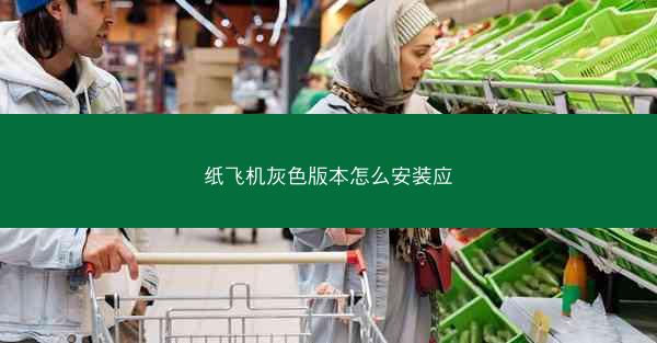 纸飞机灰色版本怎么安装应