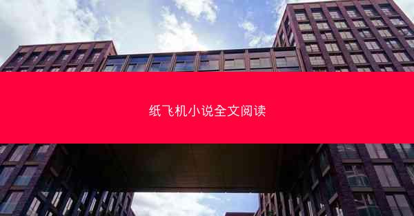 纸飞机小说全文阅读