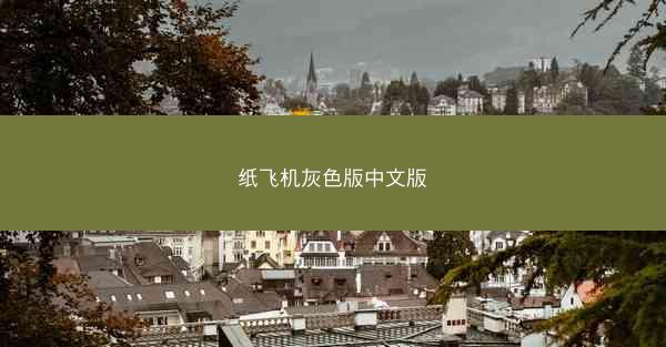 纸飞机灰色版中文版