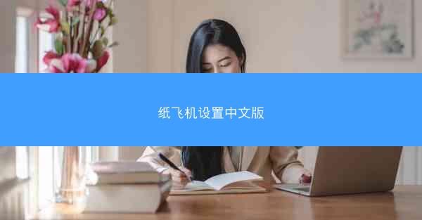 纸飞机设置中文版