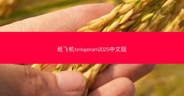 纸飞机telegeram2025中文版