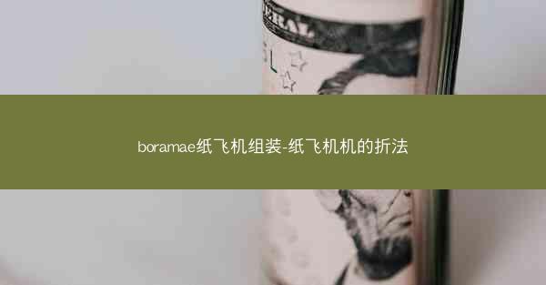 boramae纸飞机组装-纸飞机机的折法