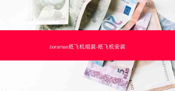 boramae纸飞机组装-纸飞机安装