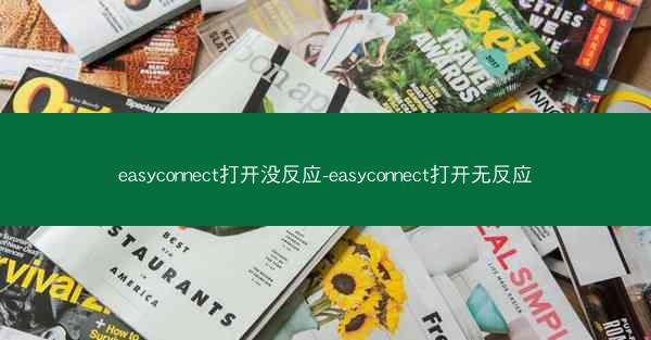 easyconnect打开没反应-easyconnect打开无反应