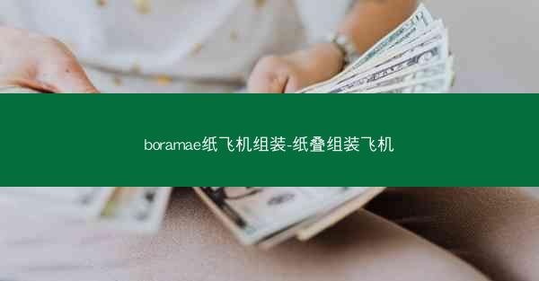boramae纸飞机组装-纸叠组装飞机