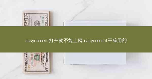 easyconnect打开就不能上网-easyconnect干嘛用的