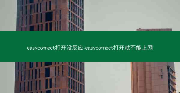 easyconnect打开没反应-easyconnect打开就不能上网