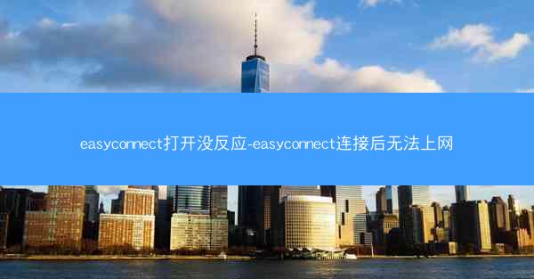 easyconnect打开没反应-easyconnect连接后无法上网