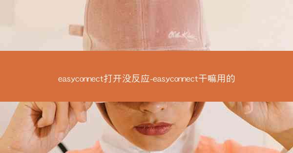 easyconnect打开没反应-easyconnect干嘛用的