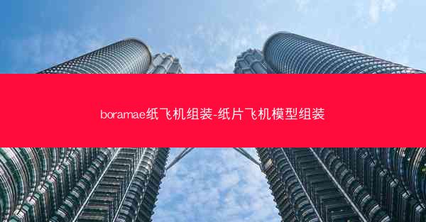 boramae纸飞机组装-纸片飞机模型组装
