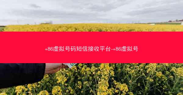 +86虚拟号码短信接收平台-+86虚拟号