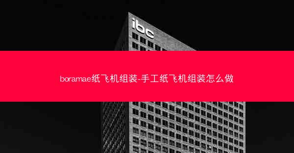 boramae纸飞机组装-手工纸飞机组装怎么做