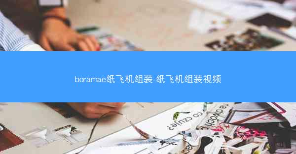 boramae纸飞机组装-纸飞机组装视频