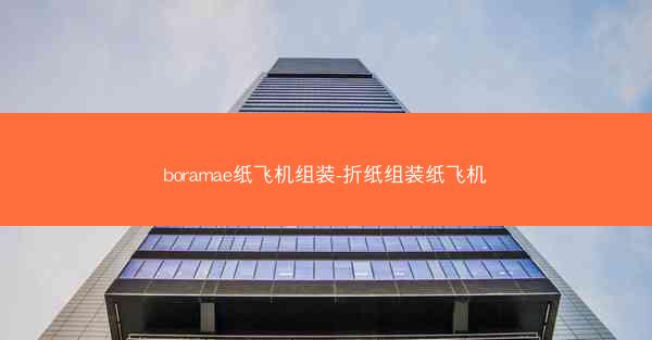 boramae纸飞机组装-折纸组装纸飞机